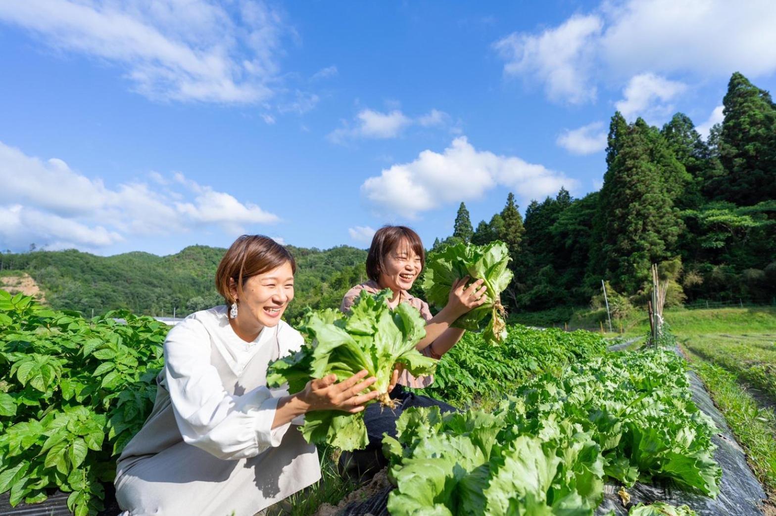 Music Forest 貸切別荘とキャンプ場 篠山市 エクステリア 写真