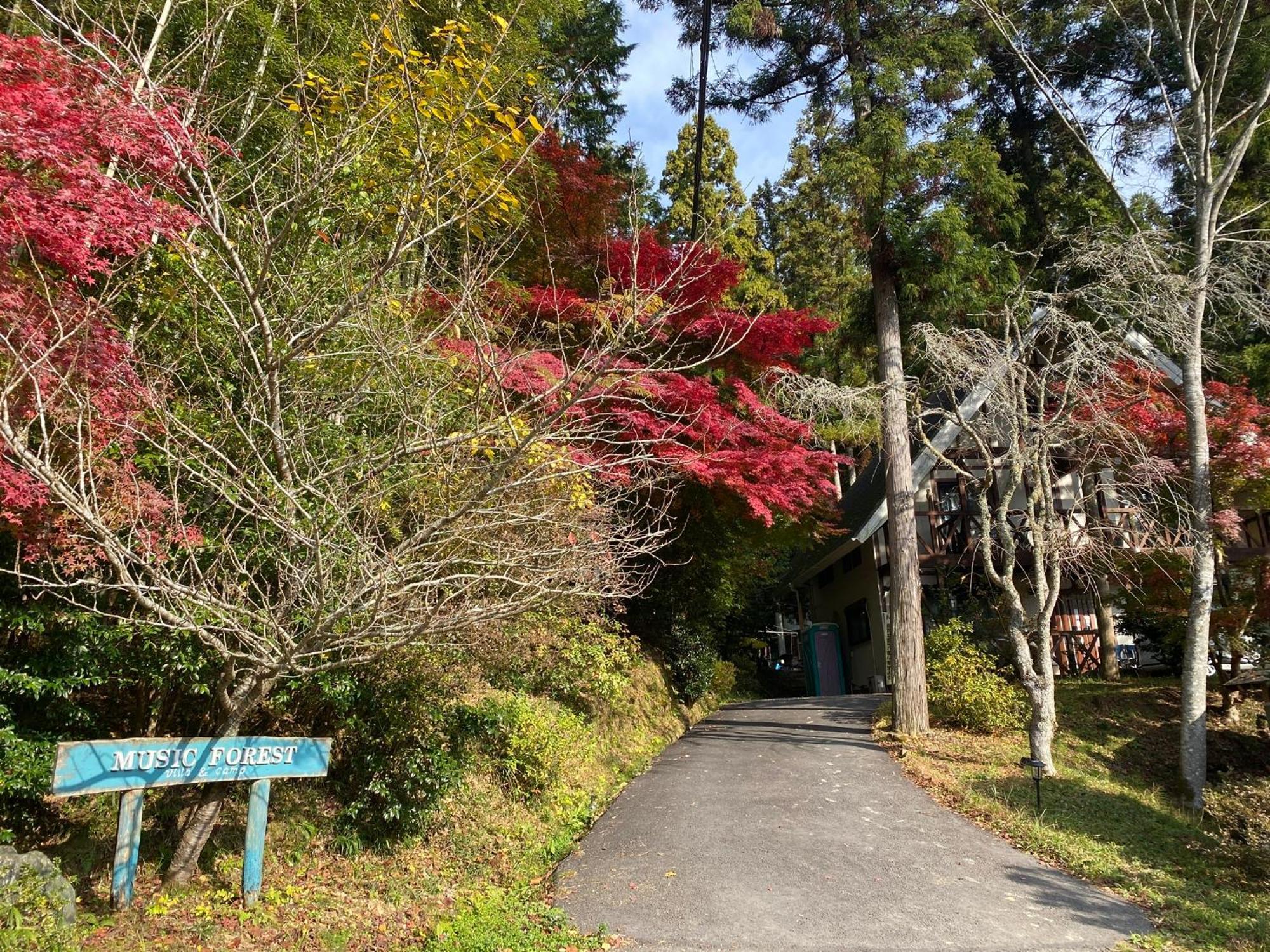 Music Forest 貸切別荘とキャンプ場 篠山市 エクステリア 写真