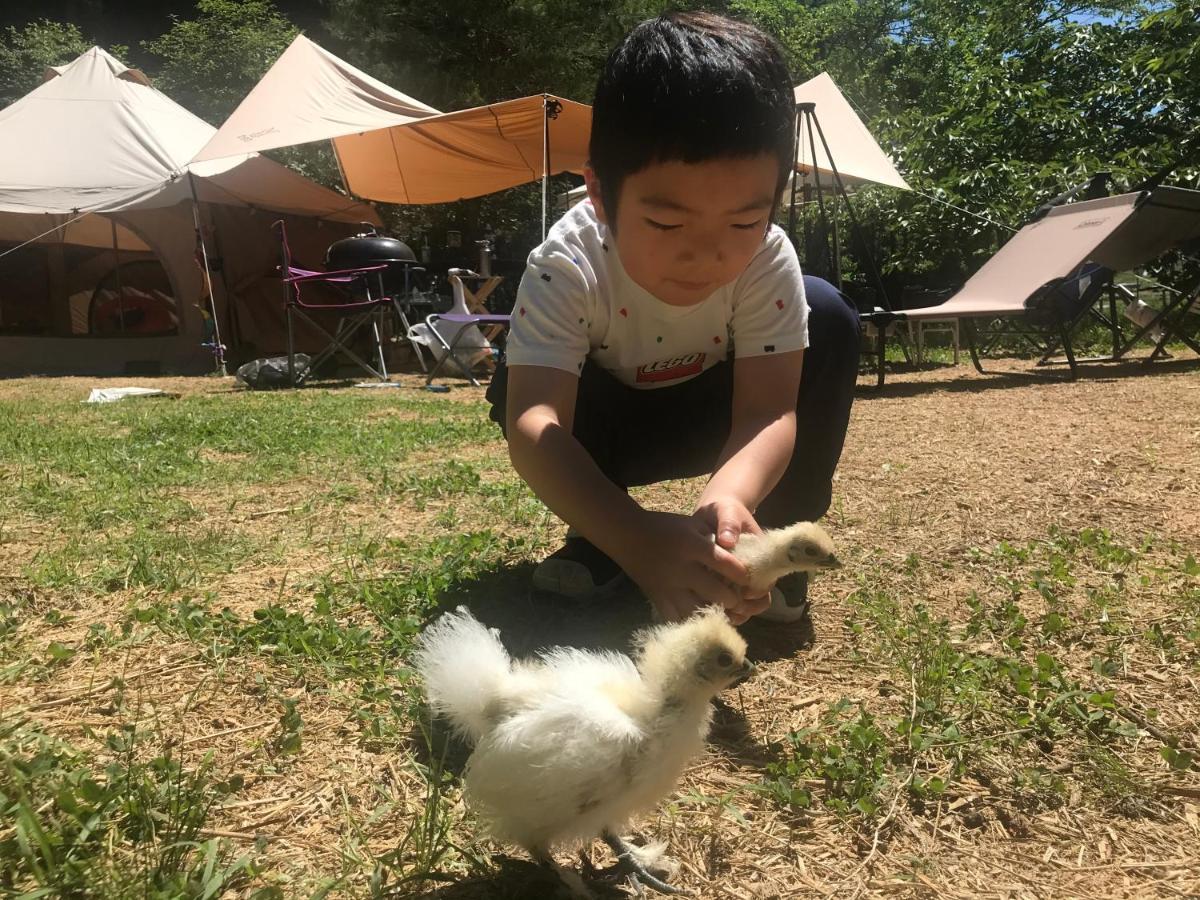 Music Forest 貸切別荘とキャンプ場 篠山市 エクステリア 写真